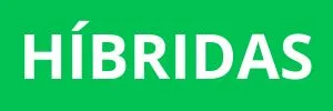 HIBRIDA